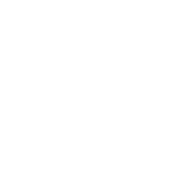 Icono