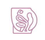 icono uroginecología